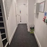 Deluxe Single Room Only For One Adult